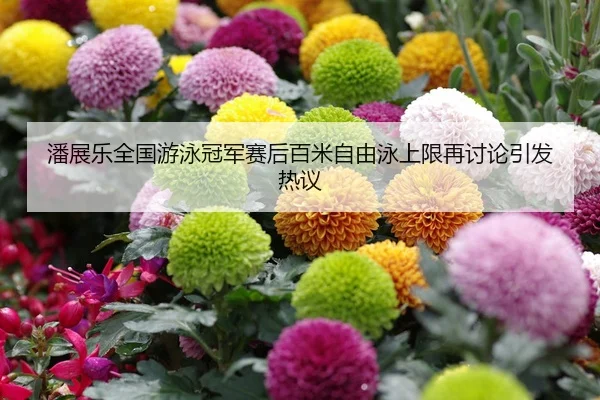 潘展乐全国游泳冠军赛后百米自由泳上限再讨论引发热议