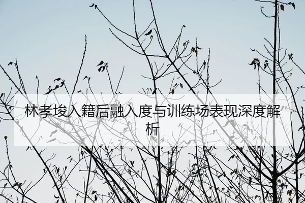 林孝埈入籍后融入度与训练场表现深度解析