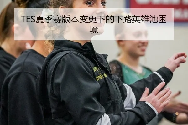 TES夏季赛版本变更下的下路英雄池困境