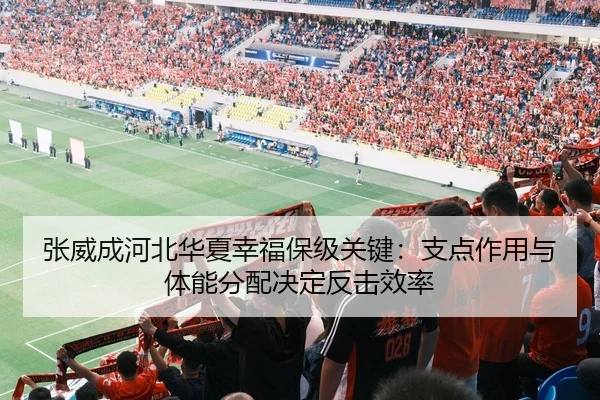 zhang-wei-cheng-he-bei-hua-xia-xing-fu-bao-ji-guan-jian-zhi-dian-zuo-yong-yu-ti-neng-fen-pei-jue-ding-fan-ji-xiao-lv-2-407.jpg