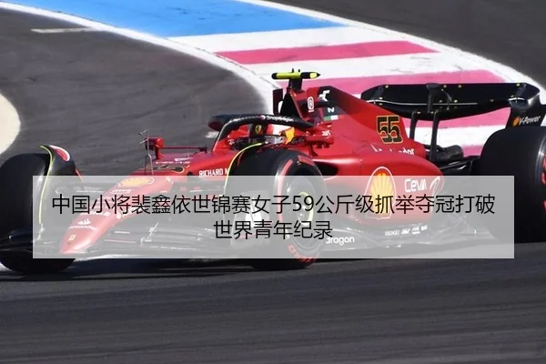 zhong-guo-xiao-jiang-pei-xin-yi-shi-jin-sai-nv-zi-gong-jin-ji-zhua-ju-duo-guan-da-po-shi-jie-qing-nian-ji-lu-3-271.jpg