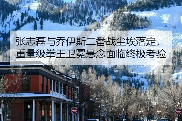 张志磊与乔伊斯二番战尘埃落定，重量级拳王卫冕悬念面临终极考验